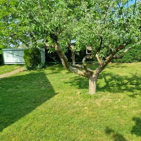 Tóthék Appartement *